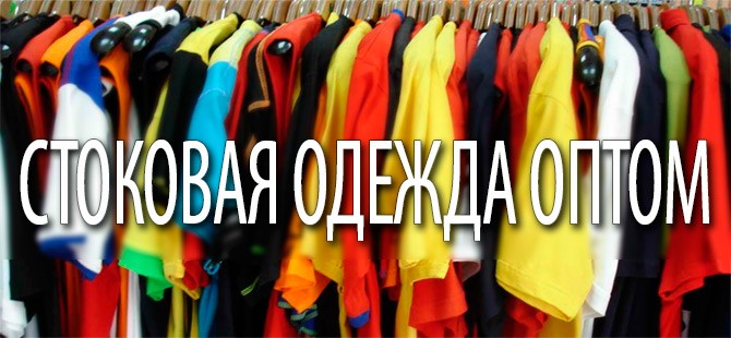 магазин одежда для собак в кемерово