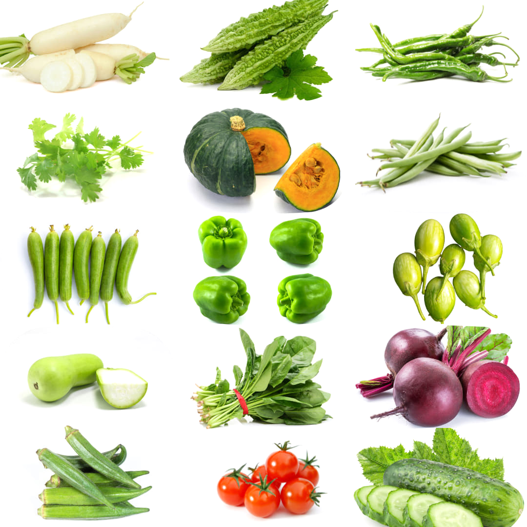 Введение в мир овощного садоводства: семена овощей