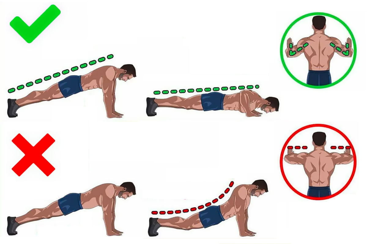 тренировка груди и спины для мужчин фото 25